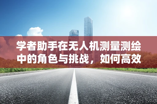 学者助手在无人机测量测绘中的角色与挑战，如何高效整合数据，提升测绘精度？