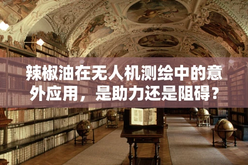 辣椒油在无人机测绘中的意外应用，是助力还是阻碍？
