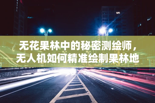 无花果林中的秘密测绘师，无人机如何精准绘制果林地图？
