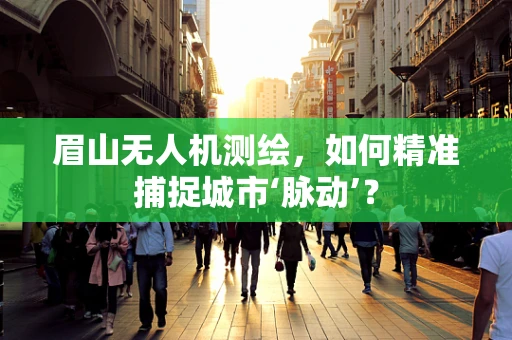 眉山无人机测绘，如何精准捕捉城市‘脉动’？
