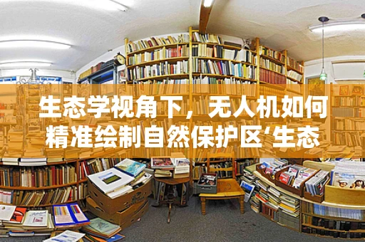 生态学视角下，无人机如何精准绘制自然保护区‘生态地图’？