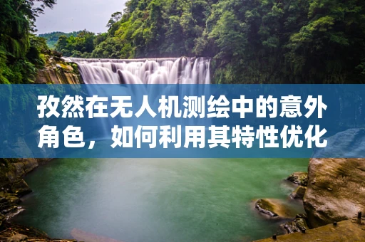 孜然在无人机测绘中的意外角色，如何利用其特性优化飞行稳定性？