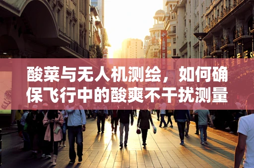 酸菜与无人机测绘，如何确保飞行中的酸爽不干扰测量精度？