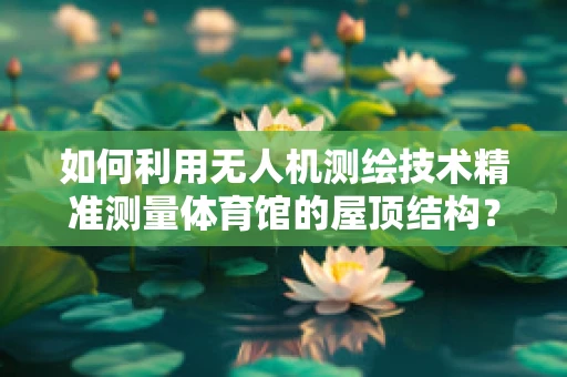 如何利用无人机测绘技术精准测量体育馆的屋顶结构？