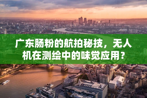 广东肠粉的航拍秘技，无人机在测绘中的味觉应用？