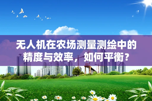 无人机在农场测量测绘中的精度与效率，如何平衡？
