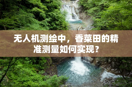无人机测绘中，香菜田的精准测量如何实现？