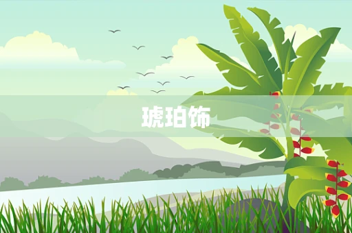 琥珀饰