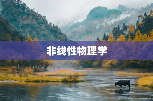 非线性物理学
