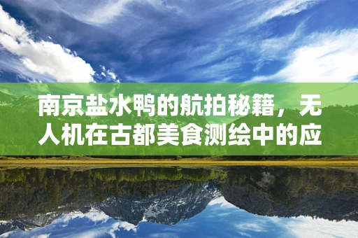 南京盐水鸭的航拍秘籍，无人机在古都美食测绘中的应用挑战