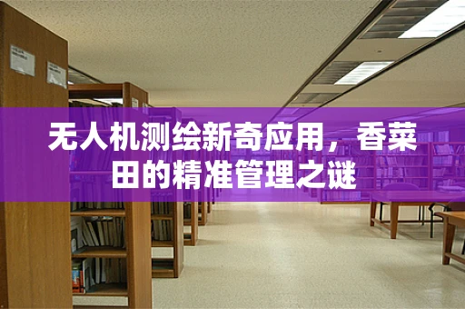无人机测绘新奇应用，香菜田的精准管理之谜