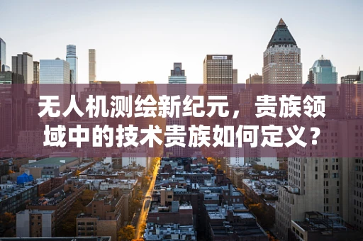 无人机测绘新纪元，贵族领域中的技术贵族如何定义？