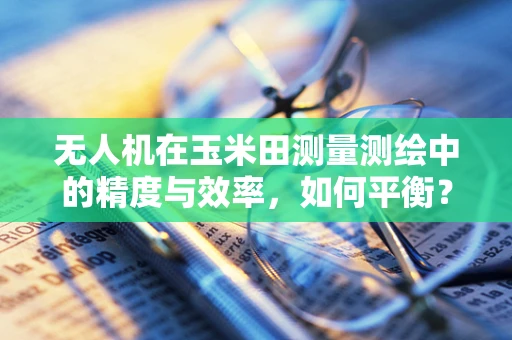 无人机在玉米田测量测绘中的精度与效率，如何平衡？