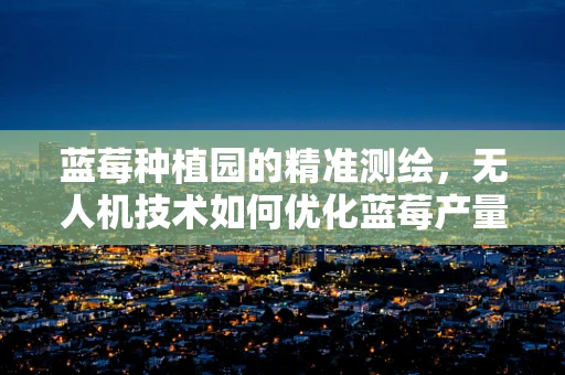 蓝莓种植园的精准测绘，无人机技术如何优化蓝莓产量？