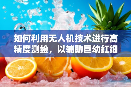 如何利用无人机技术进行高精度测绘，以辅助巨幼红细胞性贫血的精准诊断？