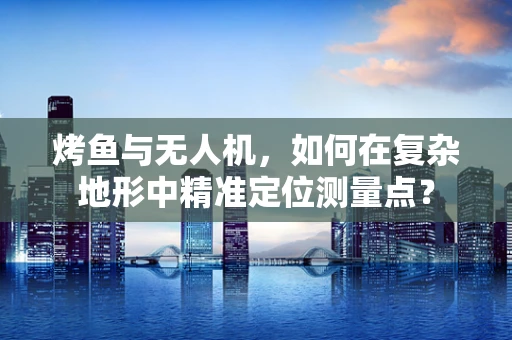 烤鱼与无人机，如何在复杂地形中精准定位测量点？