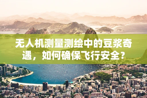 无人机测量测绘中的豆浆奇遇，如何确保飞行安全？