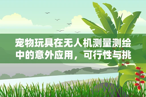 宠物玩具在无人机测量测绘中的意外应用，可行性与挑战何在？