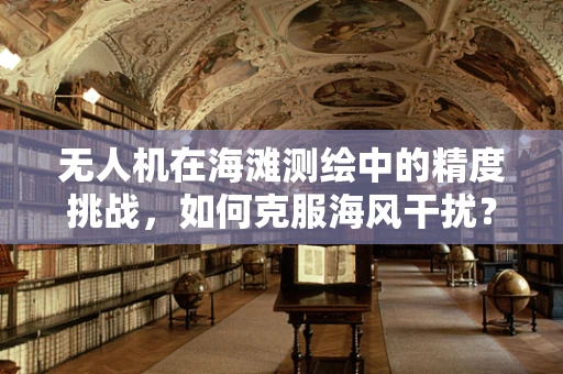 无人机在海滩测绘中的精度挑战，如何克服海风干扰？