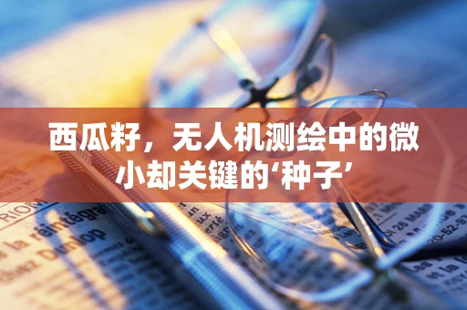 西瓜籽，无人机测绘中的微小却关键的‘种子’
