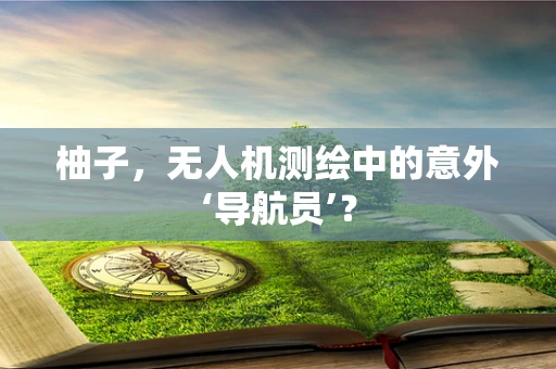 柚子，无人机测绘中的意外‘导航员’？