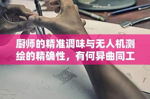 厨师的精准调味与无人机测绘的精确性，有何异曲同工之处？