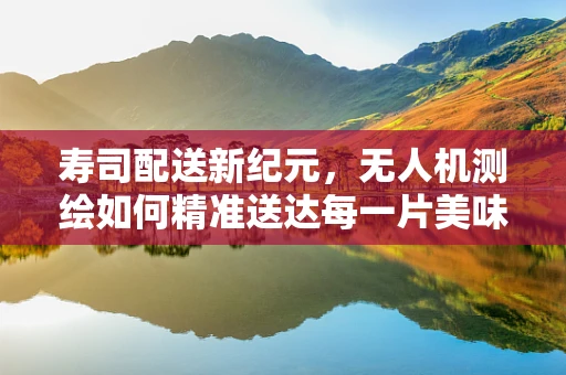 寿司配送新纪元，无人机测绘如何精准送达每一片美味？