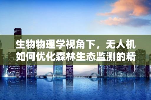 生物物理学视角下，无人机如何优化森林生态监测的精准度？