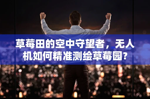 草莓田的空中守望者，无人机如何精准测绘草莓园？
