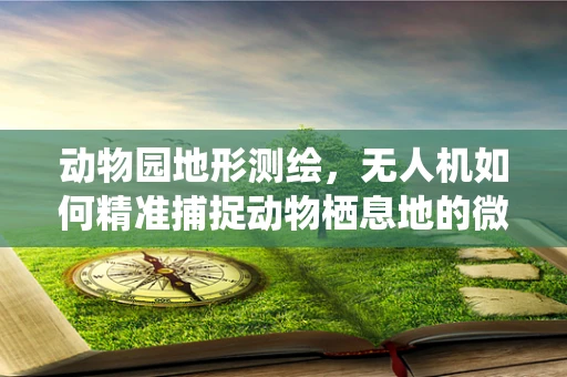 动物园地形测绘，无人机如何精准捕捉动物栖息地的微妙细节？