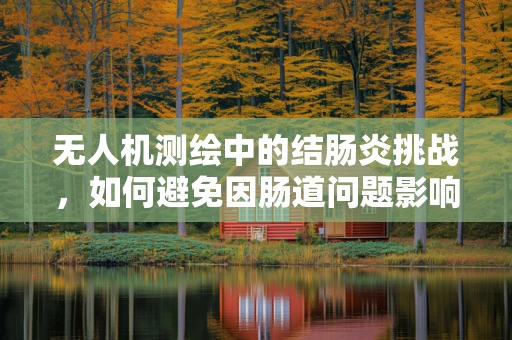 无人机测绘中的结肠炎挑战，如何避免因肠道问题影响飞行稳定性？