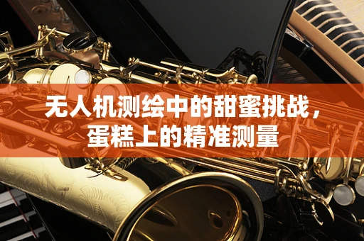 无人机测绘中的甜蜜挑战，蛋糕上的精准测量