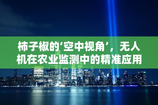 柿子椒的‘空中视角’，无人机在农业监测中的精准应用