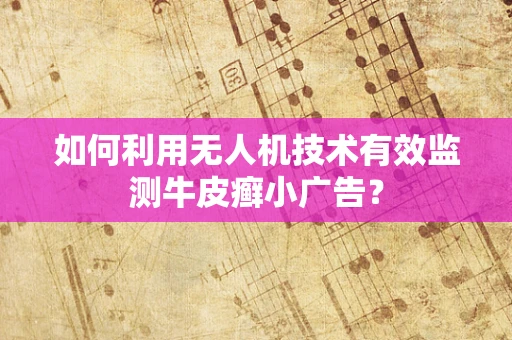 如何利用无人机技术有效监测牛皮癣小广告？