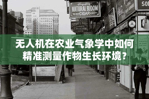 无人机在农业气象学中如何精准测量作物生长环境？