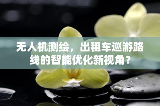 无人机测绘，出租车巡游路线的智能优化新视角？