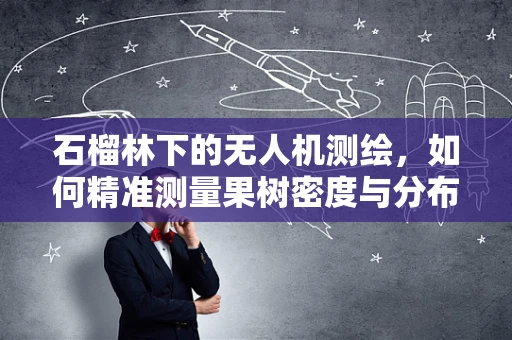 石榴林下的无人机测绘，如何精准测量果树密度与分布？