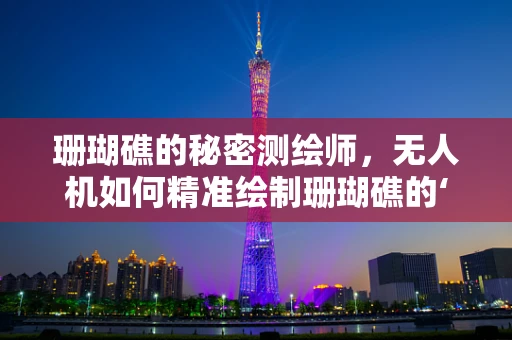 珊瑚礁的秘密测绘师，无人机如何精准绘制珊瑚礁的‘微细纹理’？