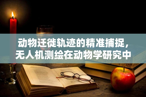 动物迁徙轨迹的精准捕捉，无人机测绘在动物学研究中的挑战与机遇？