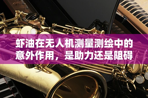 虾油在无人机测量测绘中的意外作用，是助力还是阻碍？