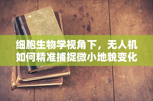 细胞生物学视角下，无人机如何精准捕捉微小地貌变化？
