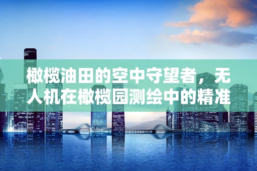 橄榄油田的空中守望者，无人机在橄榄园测绘中的精准测量挑战