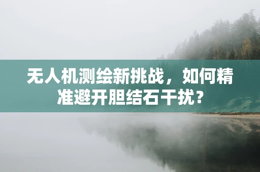 无人机测绘新挑战，如何精准避开胆结石干扰？