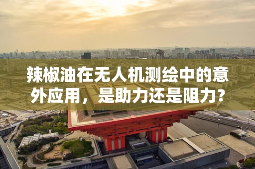 辣椒油在无人机测绘中的意外应用，是助力还是阻力？