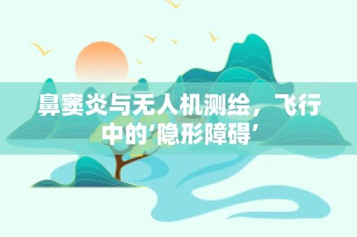 鼻窦炎与无人机测绘，飞行中的‘隐形障碍’