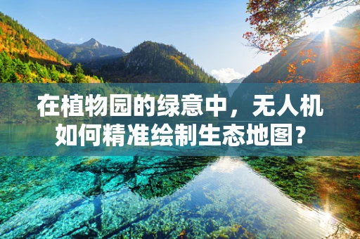 在植物园的绿意中，无人机如何精准绘制生态地图？