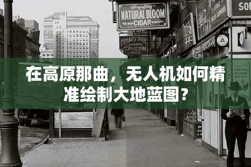 在高原那曲，无人机如何精准绘制大地蓝图？