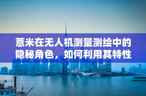 薏米在无人机测量测绘中的隐秘角色，如何利用其特性优化图像识别精度？