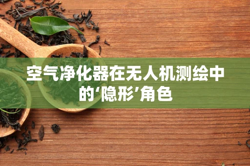 空气净化器在无人机测绘中的‘隐形’角色
