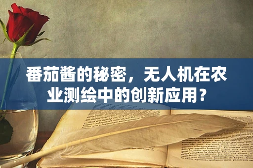 番茄酱的秘密，无人机在农业测绘中的创新应用？